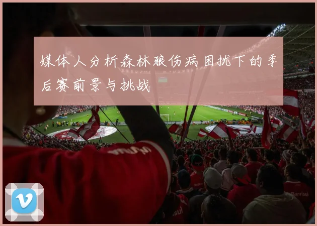 媒体人分析森林狼伤病困扰下的季后赛前景与挑战